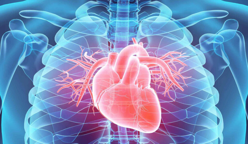 電子菸 心臟病 研究