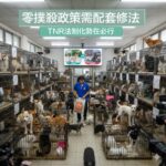 支持TNR入法:從灰色制度走向人道治理的必要一步