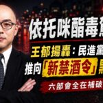 依托咪酯電子菸毒駕失控　王郁揚轟民進黨把台灣推向「新禁酒令」黑市災難