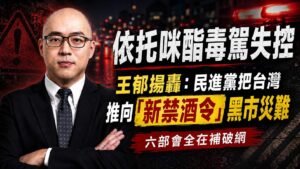 依托咪酯電子菸毒駕失控　王郁揚轟民進黨把台灣推向「新禁酒令」黑市災難
