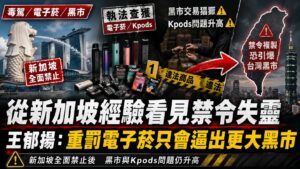 從新加坡經驗看禁令失控　王郁揚_重罰電子菸只會逼出更大黑市
