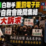 不滿綠白合重罰電子菸　使用者自救會晚間集結提五大訴求