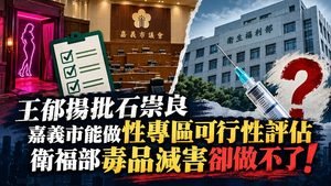 嘉義性專區與衛福部減害評估
