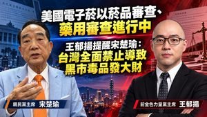 宋楚瑜與王郁揚 電子菸菸草減害交鋒
